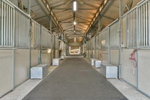 Horse Stalls