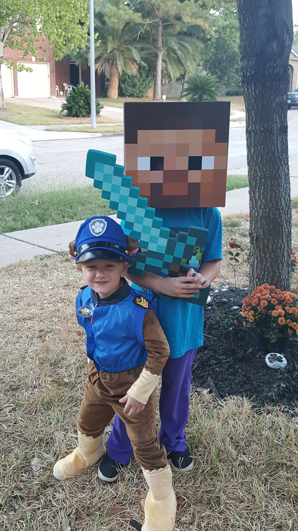 Paw Patrol and Minecraft